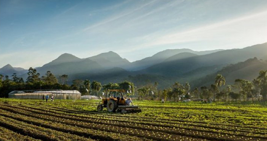 Santa Catarina terá Observatório do Agronegócio