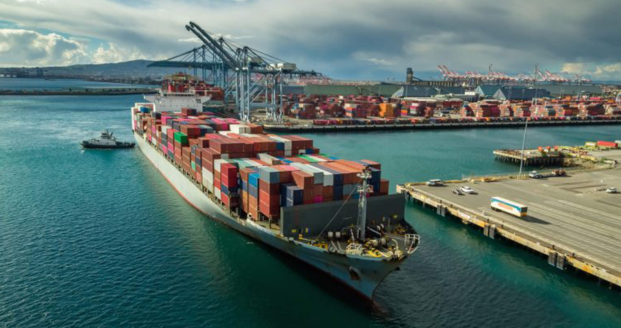 Boi/Cepea: exportação recorde no 1º semestre sustenta preço interno