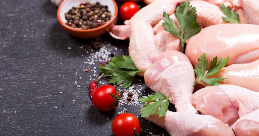 No melhor agosto da história, embarques de carne de frango in natura ficam próximos das 400 mil toneladas